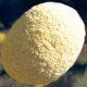 sparrowland001013.jpg